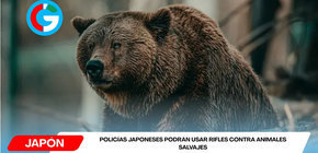 Policías japoneses podrán usar rifles contra animales salvajes
