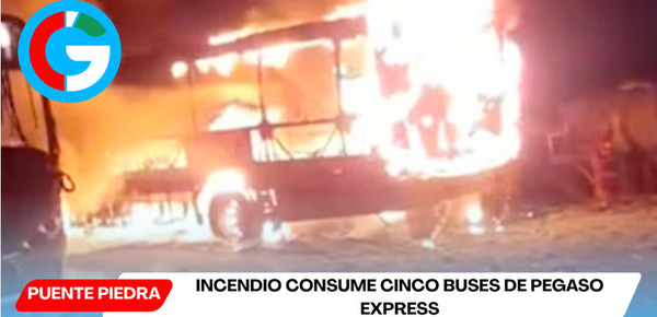 Incendio consume cinco buses de Pegaso Express