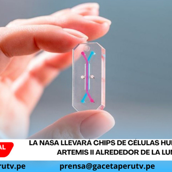 La NASA llevará chips de células humanas en Artemis II alrededor de la Luna