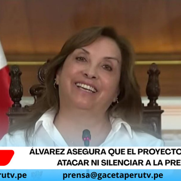 Álvarez asegura que el proyecto no busca atacar ni silenciar a la prensa.