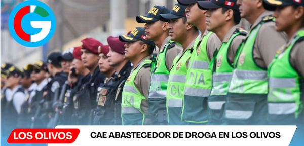 Cae abastecedor de droga en Los Olivos