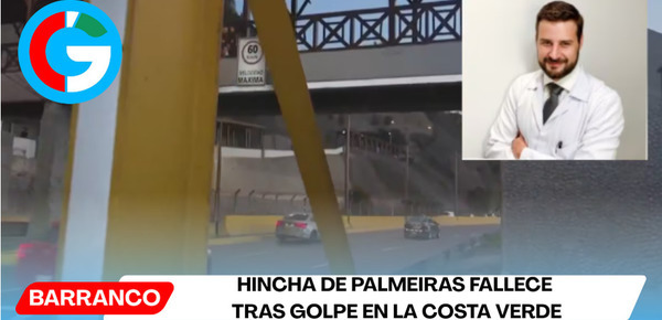 Hincha de Palmeiras fallece tras golpe en la Costa Verde