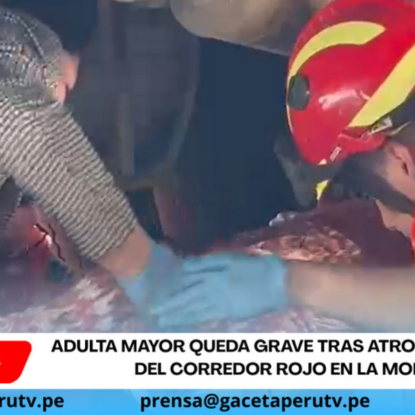 Adulta mayor queda grave tras atropello de bus del Corredor Rojo en La Molina