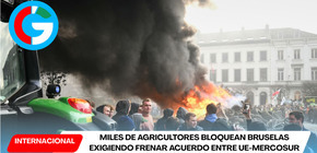 Miles de agricultores bloquean Bruselas exigiendo frenar acuerdo entre UE-Mercosur