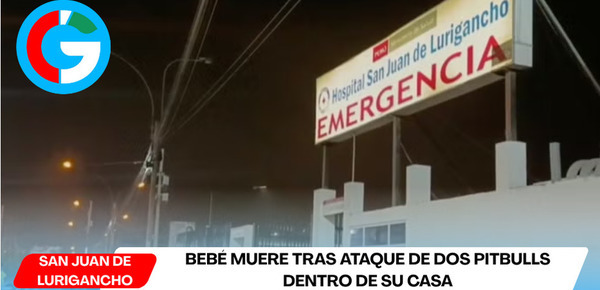 Bebé muere tras ataque de dos pitbulls dentro de su casa