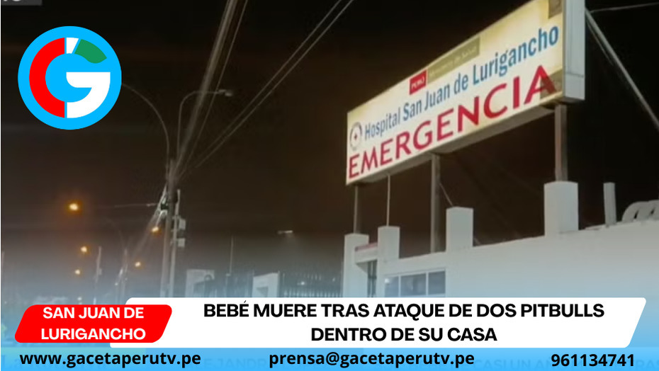 Bebé muere tras ataque de dos pitbulls dentro de su casa