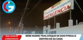 Bebé muere tras ataque de dos pitbulls dentro de su casa