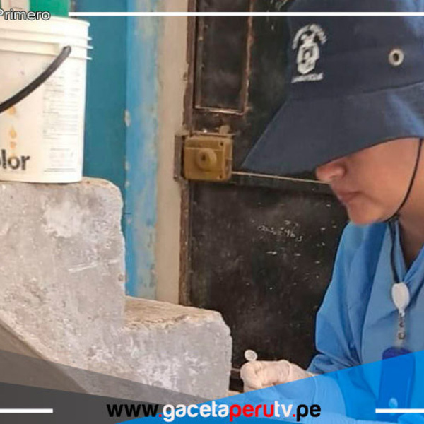 Realizarán más de 33 millones de intervenciones para prevenir el dengue en 2025 