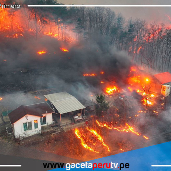 Al menos 24 muertos por graves incendios forestales en Corea del Sur