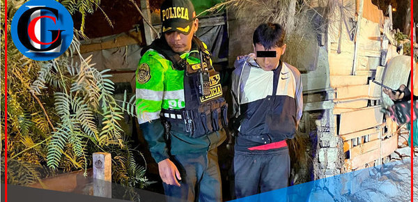 Serenos y PNP capturan banda de menores en Comas