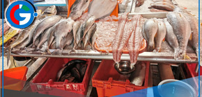 Terminal pesquero extiende su horario de atención 