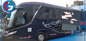 Mas de 10 balazos atentaron contra la vida de pasajeros en bus 