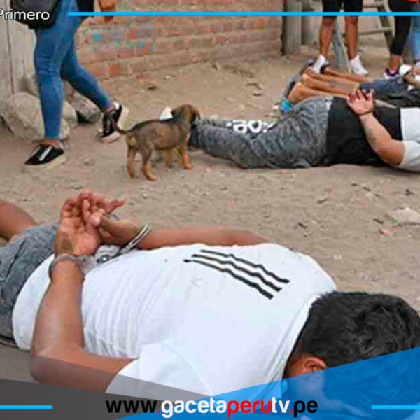 PNP detiene a más de mil delincuentes