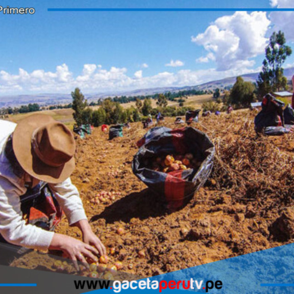 Denuncian exclusión en nueva ley agraria