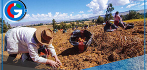 Denuncian exclusión en nueva ley agraria