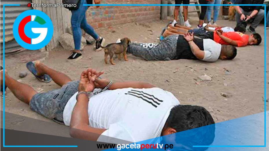 PNP detiene a más de mil delincuentes