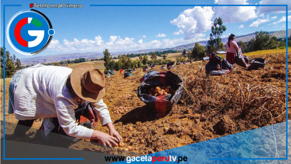 Denuncian exclusión en nueva ley agraria
