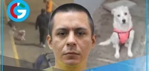  Mujer denuncia a exconviviente por maltrato físico y violencia animal 