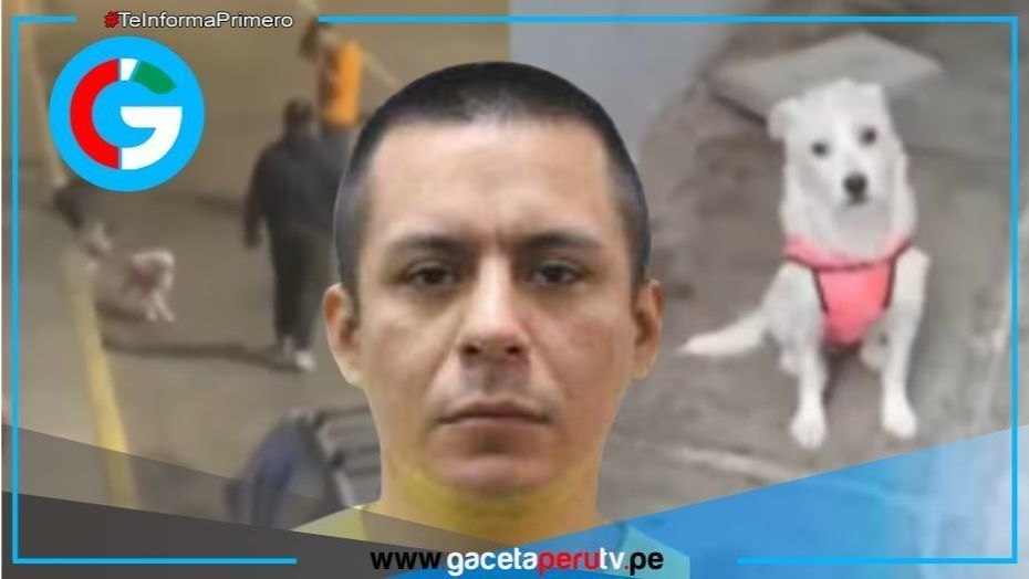 VIOLENCIA Y CRUELDAD: Dueña de Bianca denuncia maltrato físico y exige justicia