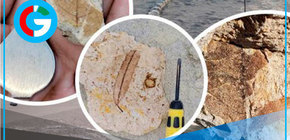 Desierto de Arequipa podría reverdecer tras hallazgos fósiles