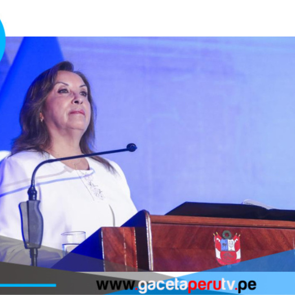 Dina busca duplicar su sueldo de presidenta 
