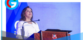 Dina busca duplicar su sueldo de presidenta 