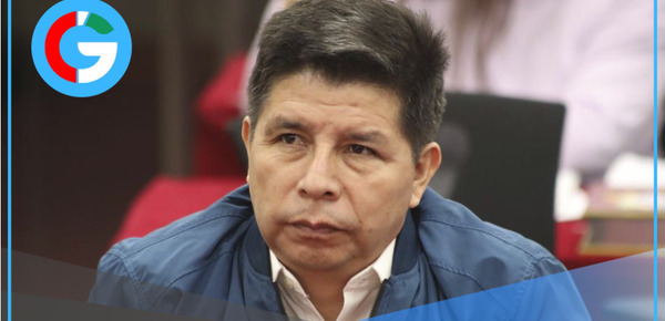 Pedro Castillo: Piden a Subcomisión de Acusaciones tramitar denuncia que plantea su inhabilitación