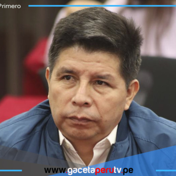 Pedro Castillo: Piden a Subcomisión de Acusaciones tramitar denuncia que plantea su inhabilitación