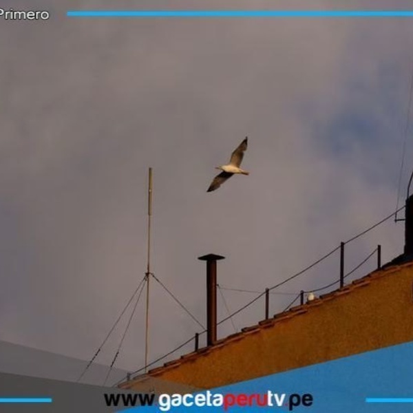 Cónclave 2025: Segunda jornada inicia con divisiones marcadas y tensión creciente 