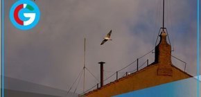  Cardenales reanudan cónclave decisivo para elegir nuevo líder católico 