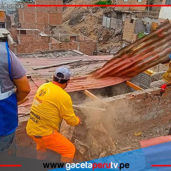 Municipalidad de Comas recupera terreno invadido para área verde comunitaria