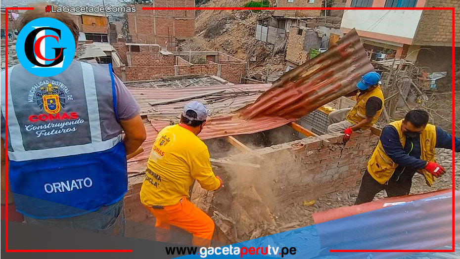 Municipalidad de Comas recupera terreno invadido para área verde comunitaria