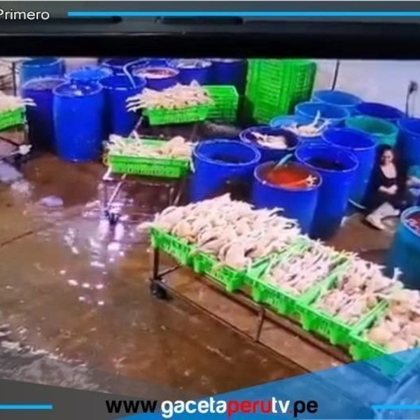 Violento ataque en camal de Hualmay deja dos muertos y una empresaria herida 
