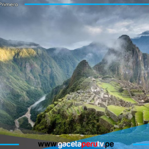 Descubren nueva especie de roedor en Perú