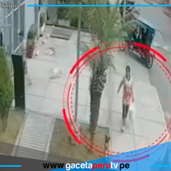 Roba 20 mil soles y pide perdón tras ser detenida