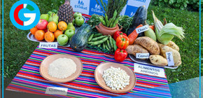 EsSalud impulsa alimentos andinos para fortalecer defensas ciudadanas