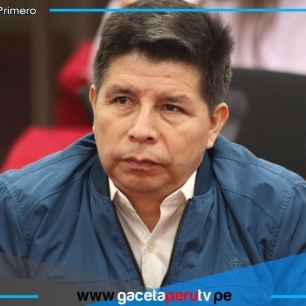 Pedro Castillo pide separar procesos judiciales por presunta red delictiva estatal 
