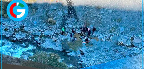 Cinco muertos deja accidente de camioneta en carretera Juliaca–Sina