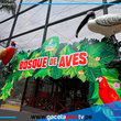Parque de las Leyendas abrirá desde ocho de la mañana este feriado