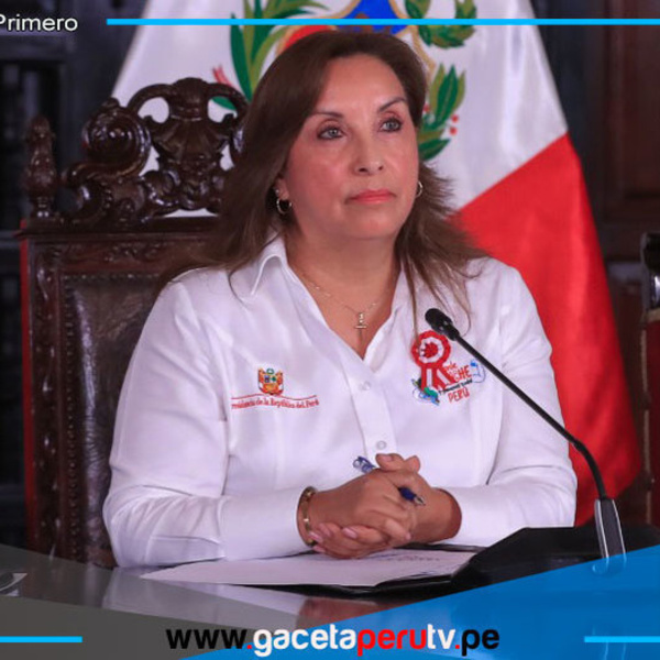 Dina Boluarte rompe silencio con condiciones para responder preguntas