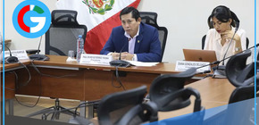 Ley MAPE: Presidente de Comisión de Energía y Minas amplía agenda de este martes para debatir propuesta controversial