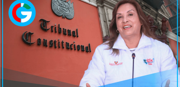 TC suspende investigaciones contra Dina Boluarte hasta 2026