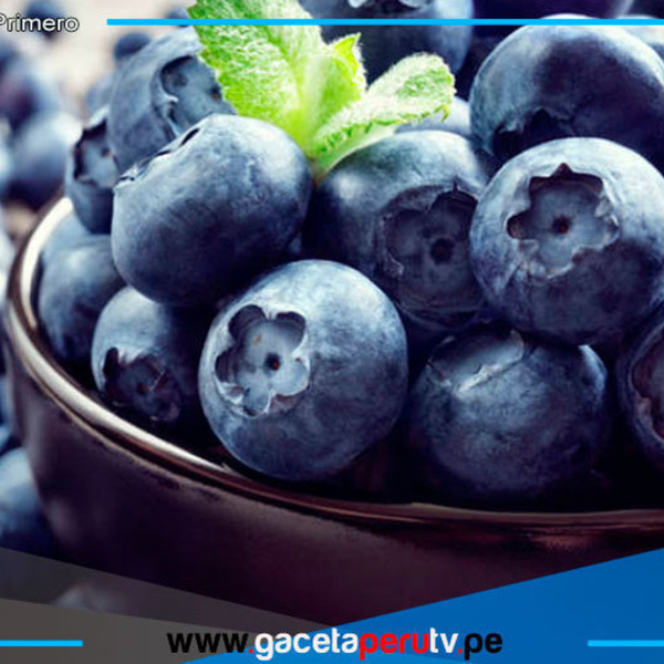 Descubre la fruta que ayuda a bajar el colesterol malo