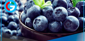 Descubre la fruta que ayuda a bajar el colesterol malo