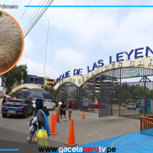 Por el día del adulto mayor podrán ingresar gratis al Parque de las Leyendas.