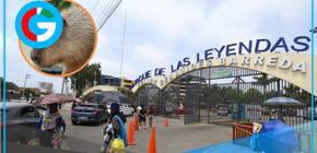 Por el día del adulto mayor podrán ingresar gratis al Parque de las Leyendas.