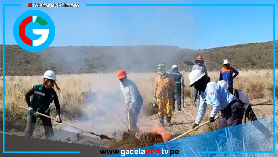 Fue controlado el incendio forestal en el distrito de Tisco en Caylloma
