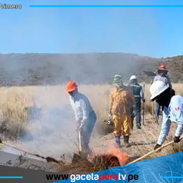 Fue controlado el incendio forestal en el distrito de Tisco en Caylloma 