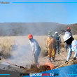 Fue controlado el incendio forestal en el distrito de Tisco en Caylloma 