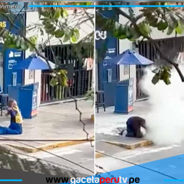 Mujer atacada por enjambre de 200 abejas denuncia falta de auxilio